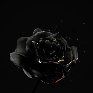 Meet your Posher, Amaya